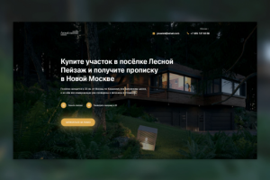 Лесной Пейзаж - Landing page