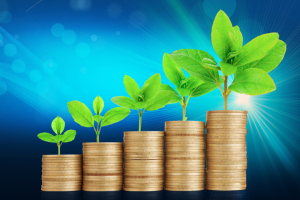 Работа 2683775