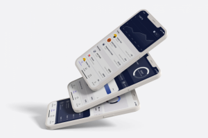 Приложение для введения бюджета