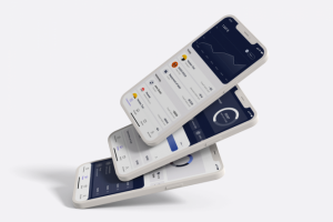 Приложение для введения бюджета