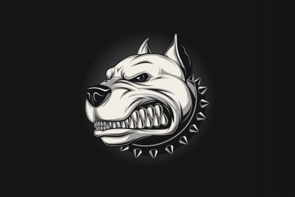 img4558395.png