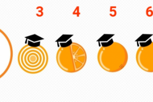 Логотипы для онлайн-курсов по подготовке к ОГЭ/ЕГЭ Vitamin