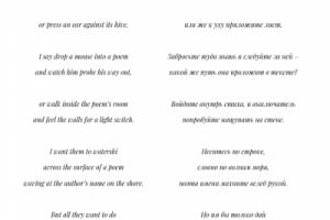 Перевод стихотворения Билли Коллинза