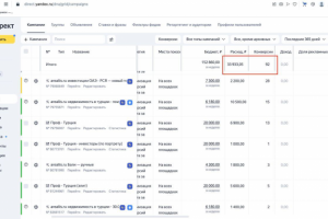 Привлечение лидов через яндекс директ(элитная недвижимость)