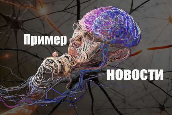 img4490899.png