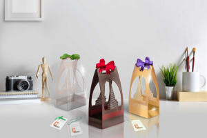 Разработка упаковки