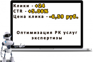 Оптимизация РК услуг экспертизы