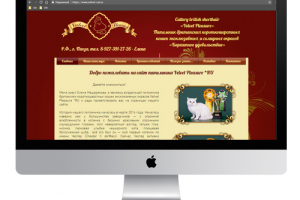 Питомник британских кошек Velvet Pleasure *RU