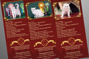 Печатная продукция для кошачьего питомника