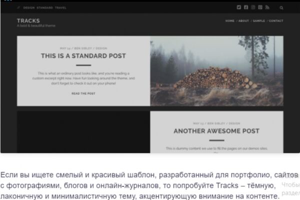 img4265431.png