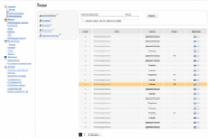 Электронный дневник школьника