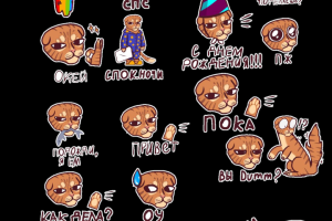 Стикерпак с котом