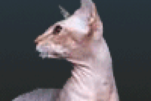 Баннеры в gif