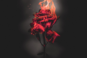 перевод текстов