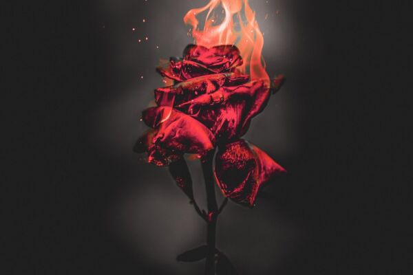 img4542143.png