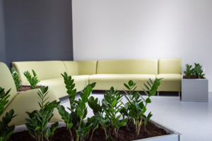 Работа 3663019