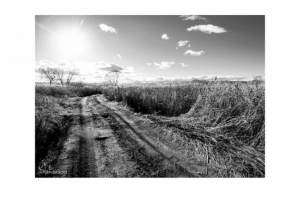 Пейзажная съемка