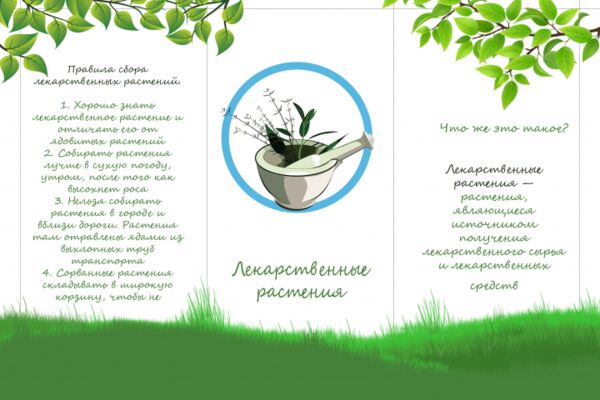 img4548050.png