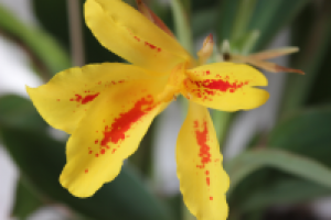 Работа 2202793