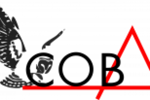 Работа 1732770