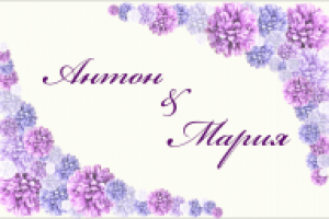 лиловый розовый