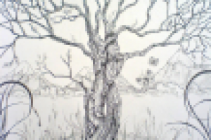 Работа 1732812