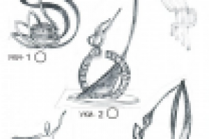 Работа 1732585