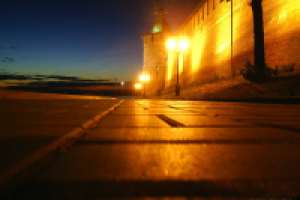 Работа 2105679