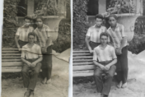 Работа 2334260