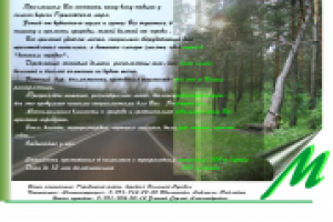 Работа 2259026