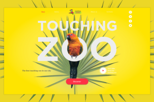 Трогательный зоопарк