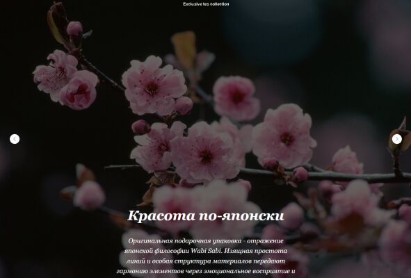 img4320590.png