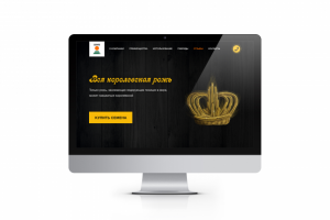 Landing Page для KWS
