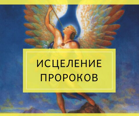 img3547328.png
