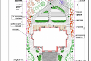 Пушкин-Рустам-территория