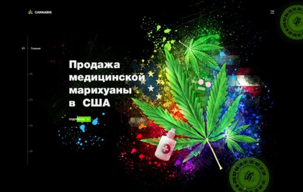 img3889464.png
