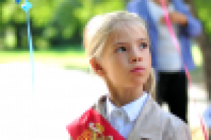 Работа 2914512