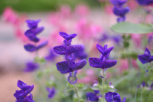 Работа 2885749