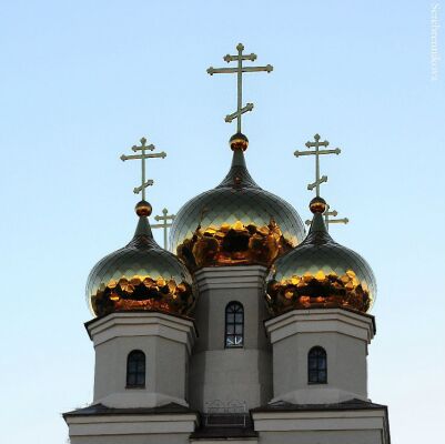 img3880149.png