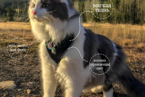 Инфографика для вб