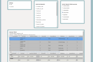 phpAsAdmin – разработка аналога phpMyAdmin