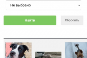 Сервис поиска пропавших животных Найти-Хозяина.рф