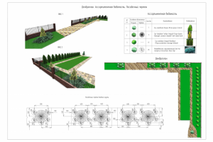 Дендроплан