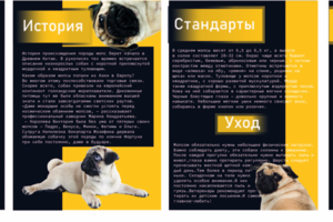 Брошюра