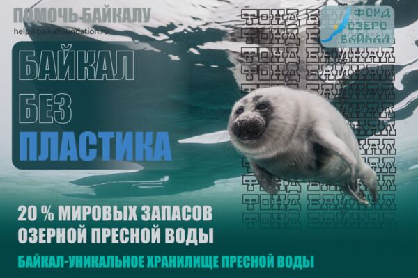 img4550501.png