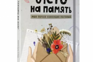 Письмо для рассылок