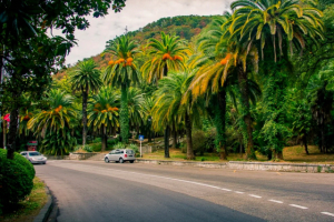 Когда лучше всего отдыхать в Абхазии?