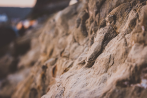 Работа 3151562