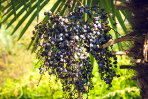 Работа 3151559