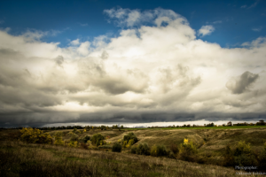 Работа 3151572